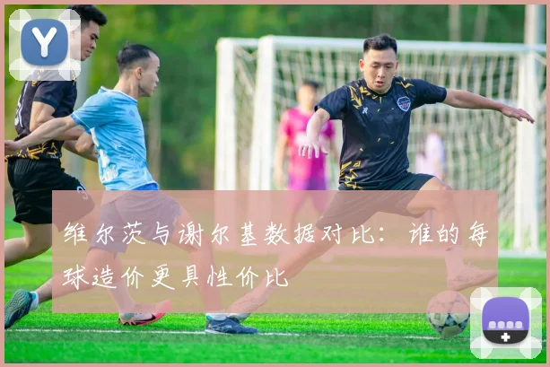 维尔茨与谢尔基数据对比：谁的每球造价更具性价比